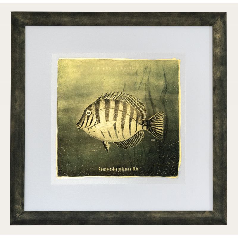 Goldfish I. - Resinotype over Gold leaves - Alternative Photography print by David Heger