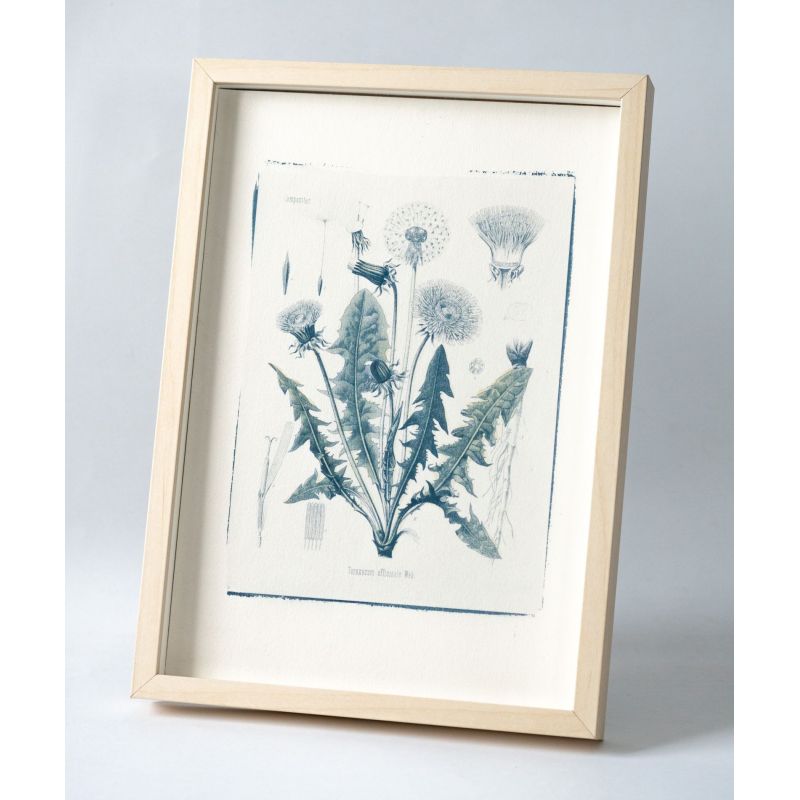 Hand Crafted Photograph - Dandelion
