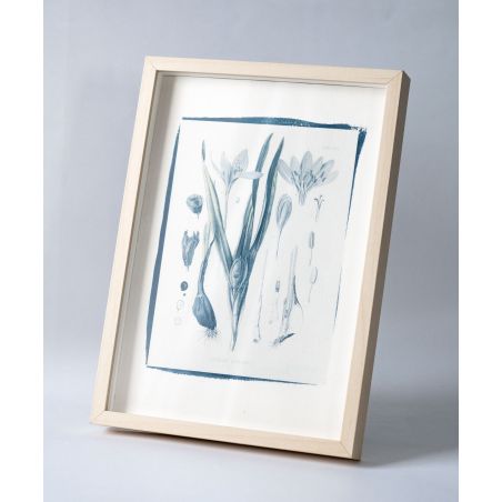Hand Crafted Photograph - COLCHICUM