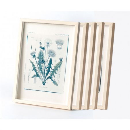 Botanic photography set - Herbs