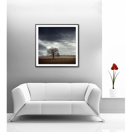 Umělecká fotografie - obraz na stěnu obývák