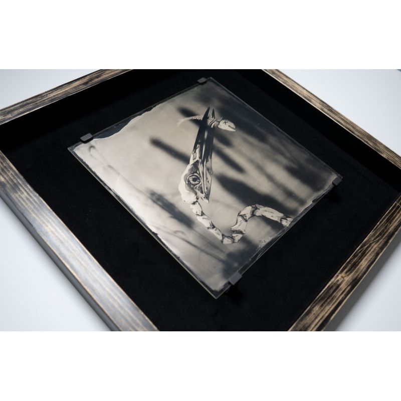 Two Skeletons - Ambrotype (one of a kind) - 2