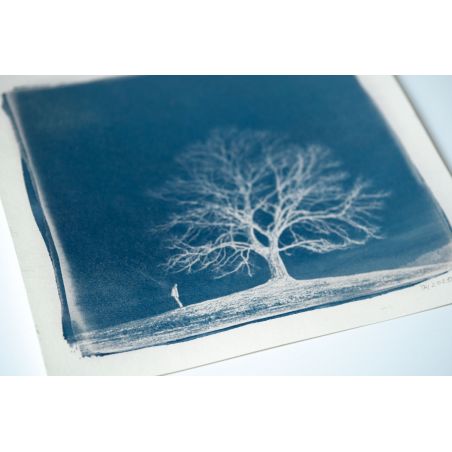 Cyanotype workshop - 5