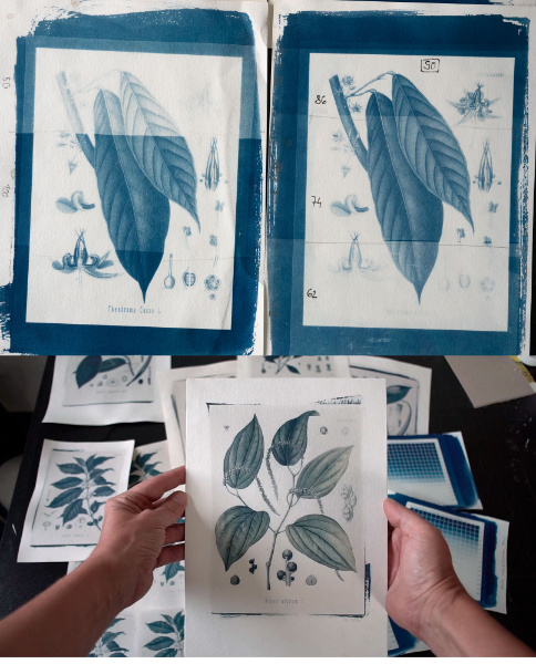 Cyanotype courses